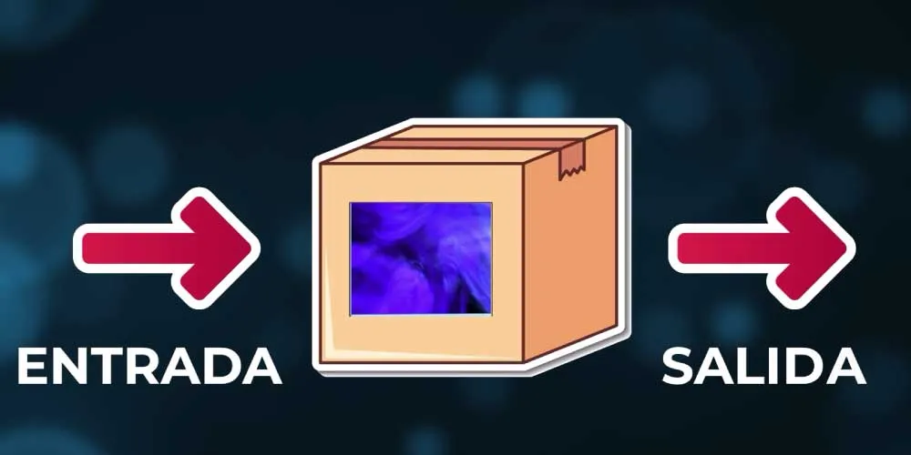 Diagrama Entrada Salida